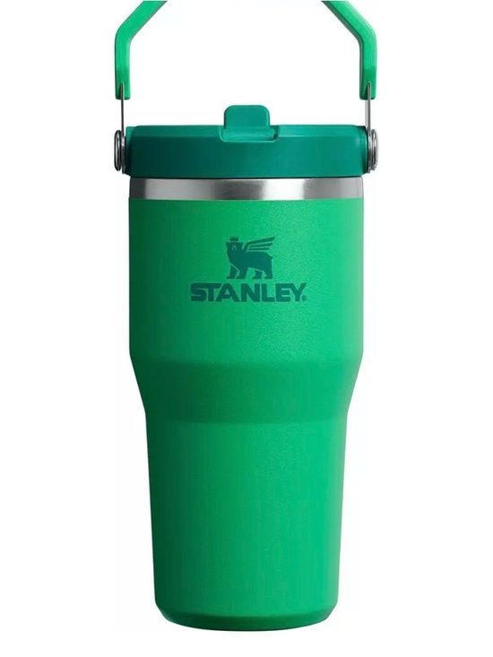 Stanley Other - Stanley 20 Oz in Meadow